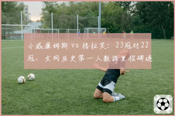 小威廉姆斯 vs 格拉芙：23冠对22冠，女网历史第一人数据里程碑逐项PK